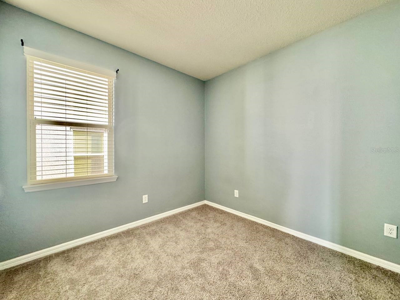 14138 Poke Ridge Drive Riverview FL 33579 TB8488883 image8