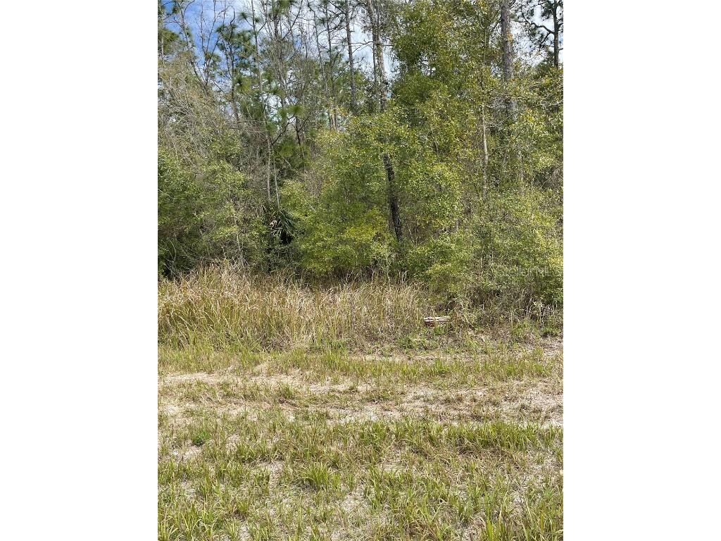 14139 Pigeon Road Hudson FL 34669 TB8375602 image1