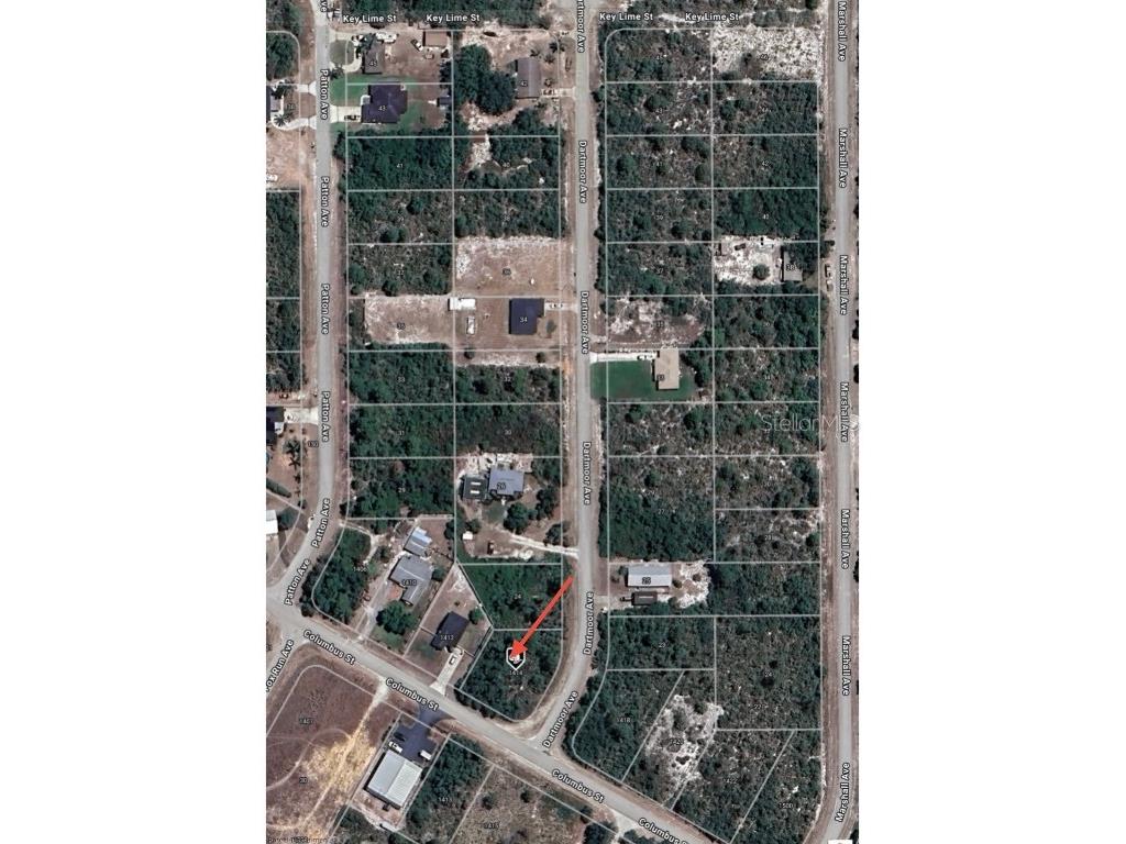 1414 Columbus Street Lake Placid FL 33852 O6328798 image8