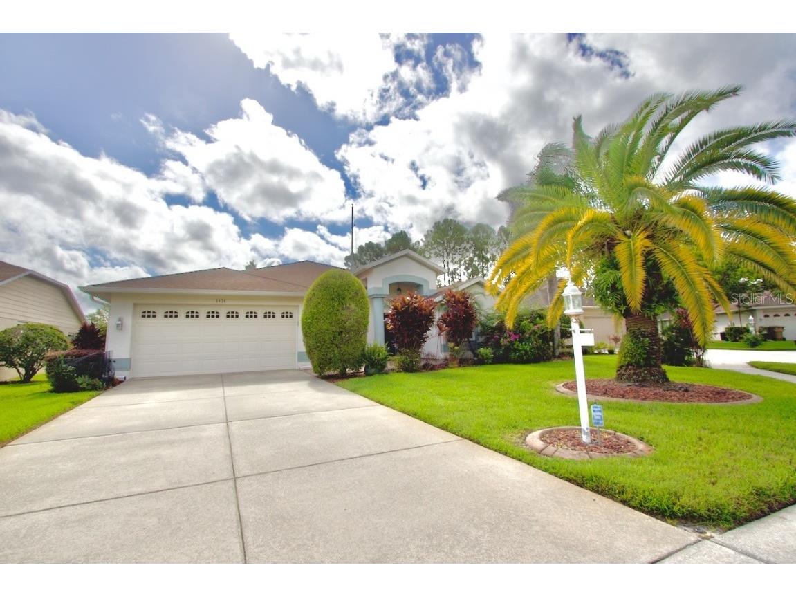 1414 Morning Rose Place Trinity FL 34655 W7857459 image1