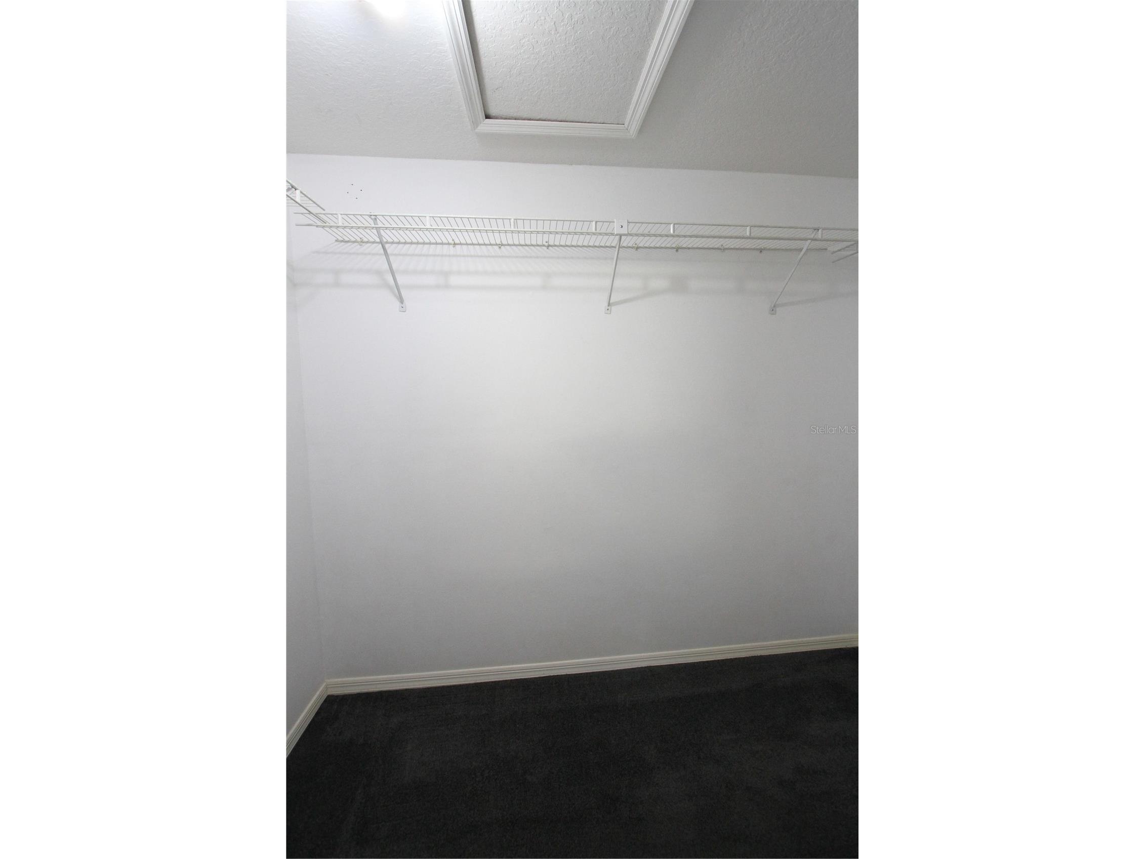 1414 Norwick Drive Lutz FL 33559 TB8474574 image23