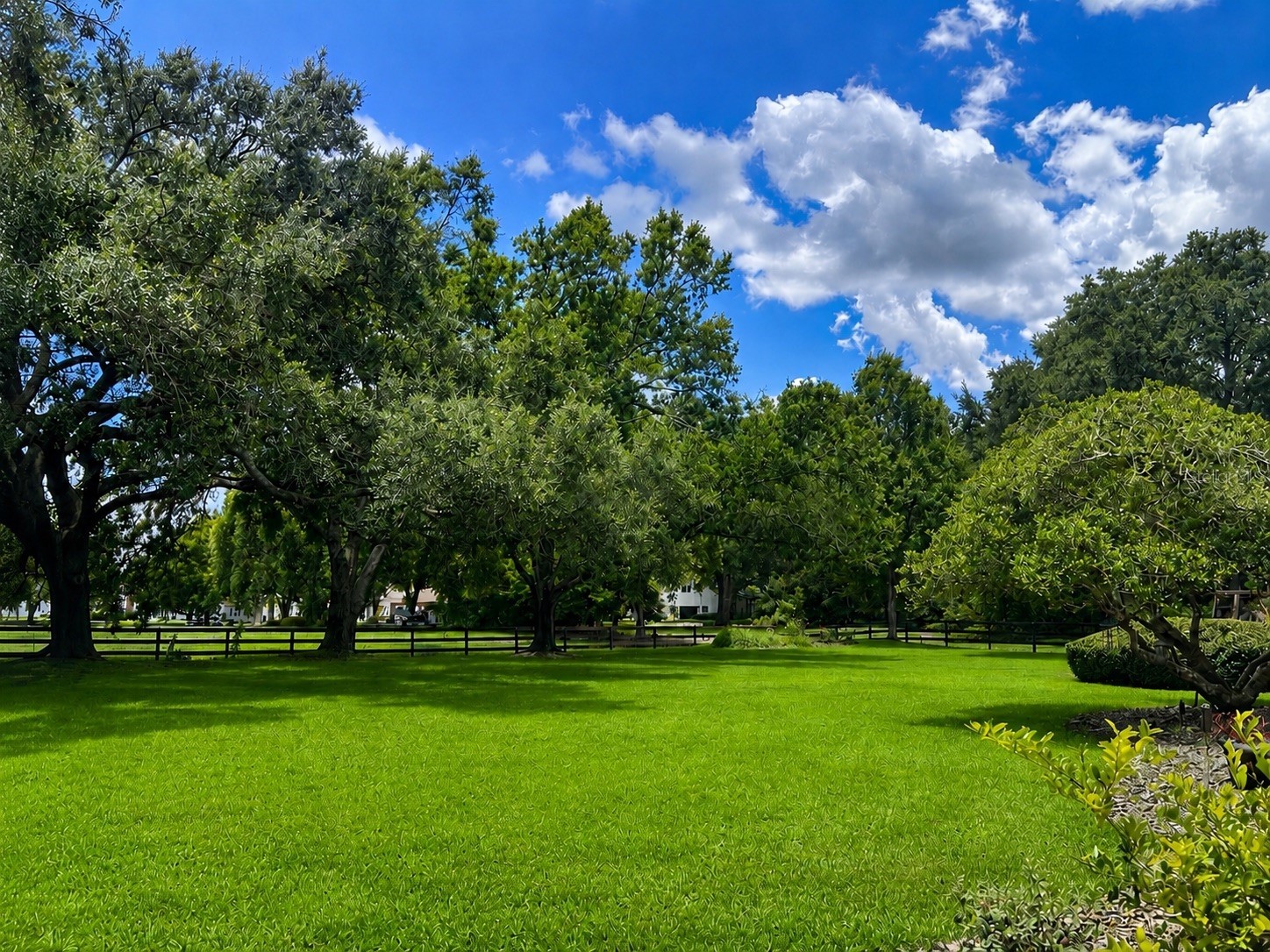 14140 Country Estate Drive Winter Garden FL 34787 O6397262 image60