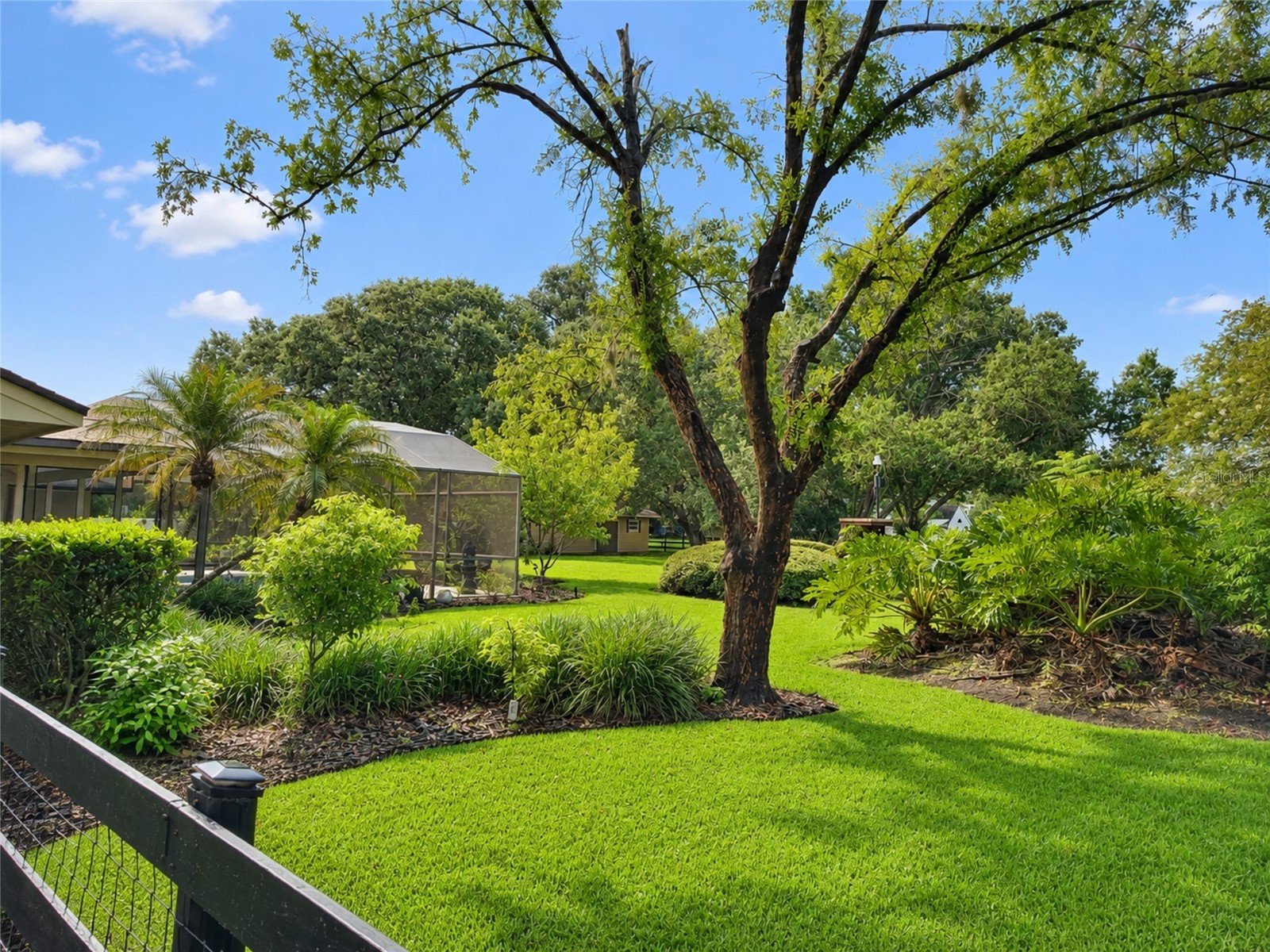 14140 Country Estate Drive Winter Garden FL 34787 O6397262 image65