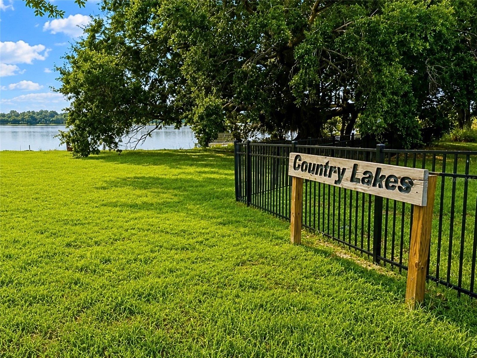 14140 Country Estate Drive Winter Garden FL 34787 O6397262 image70