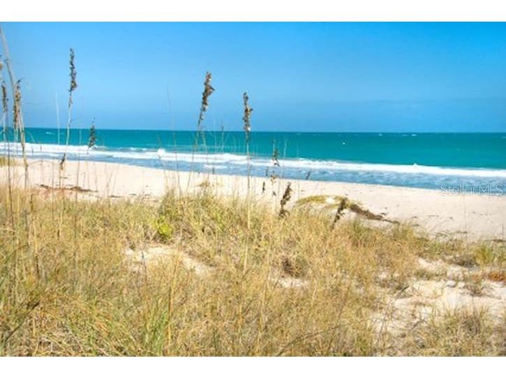 14141 Gulf Boulevard #5 Madeira Beach FL 33708 TB8416437 image14