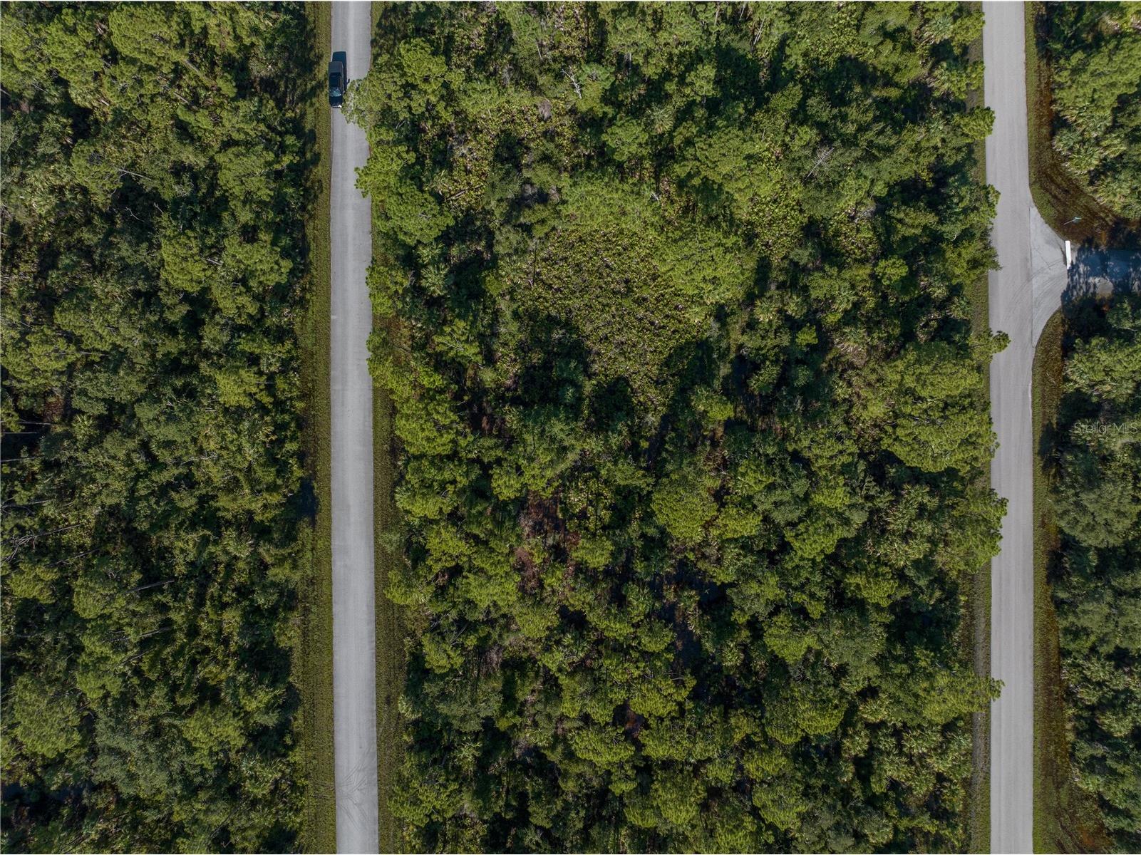 14142 Dunlap Avenue Port Charlotte FL 33953 A4681707 image4