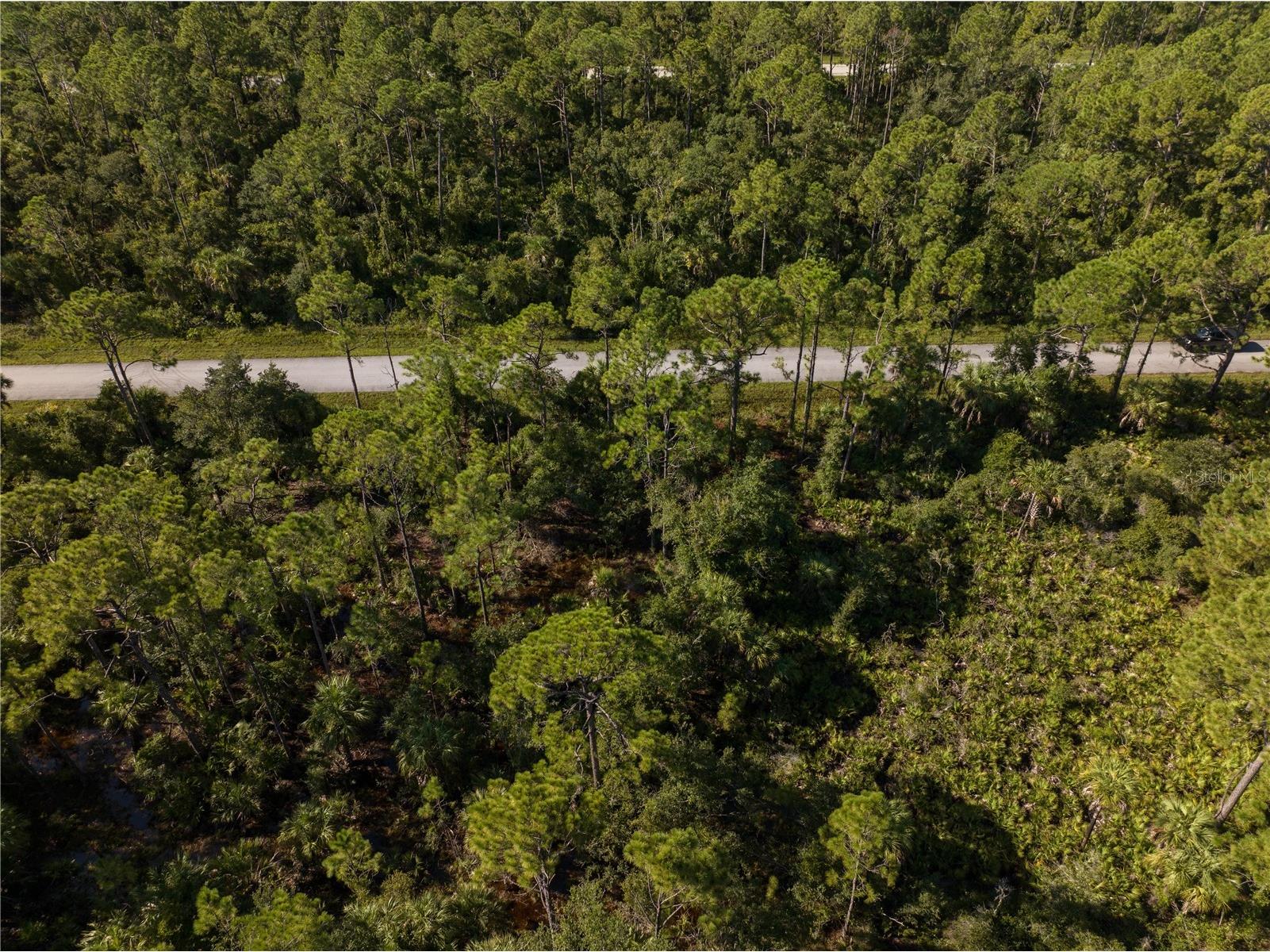 14142 Dunlap Avenue Port Charlotte FL 33953 A4681707 image5