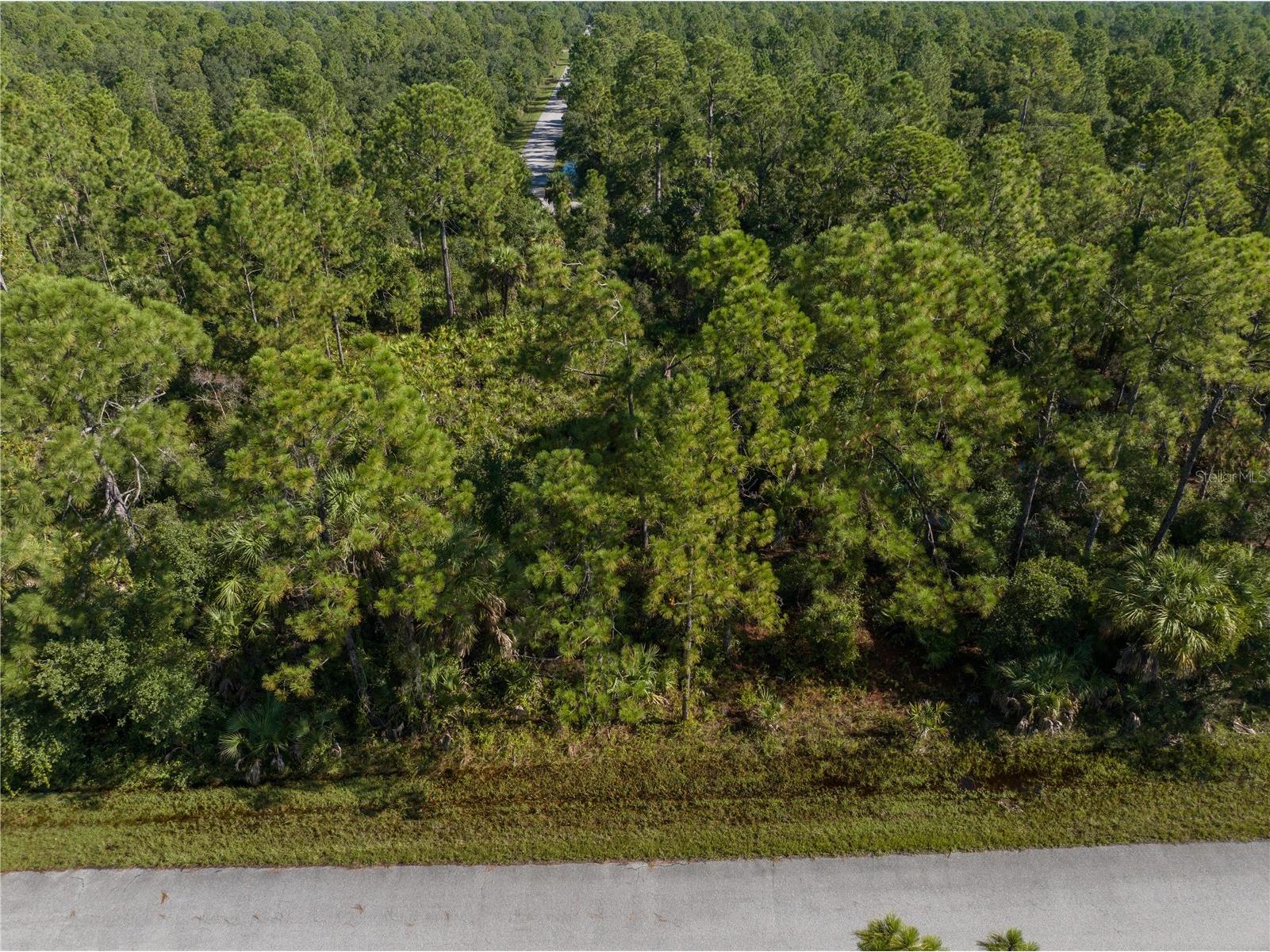 14142 Dunlap Avenue Port Charlotte FL 33953 A4681707 image7
