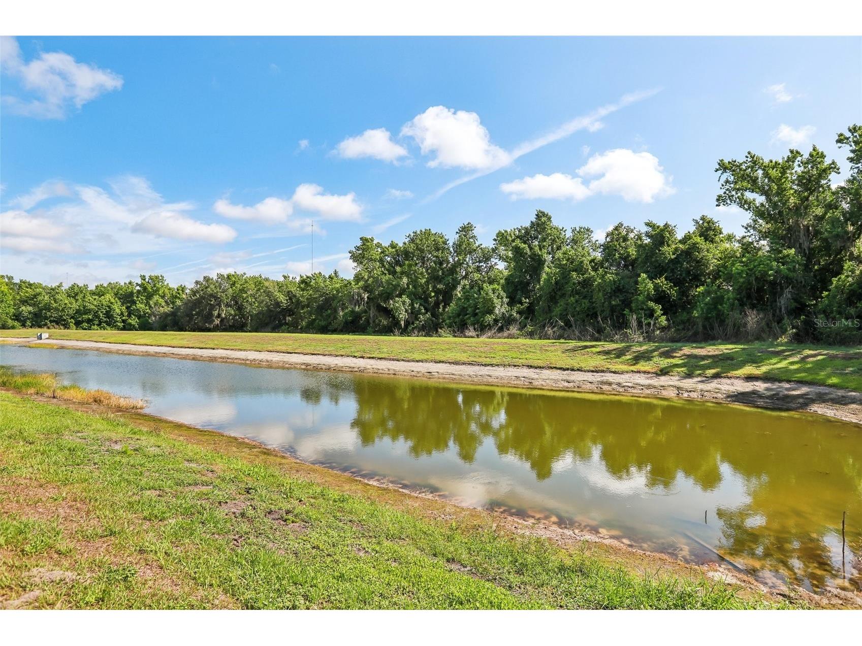 14142 Swiss Bridge Drive Riverview FL 33579 TB8512713 image56