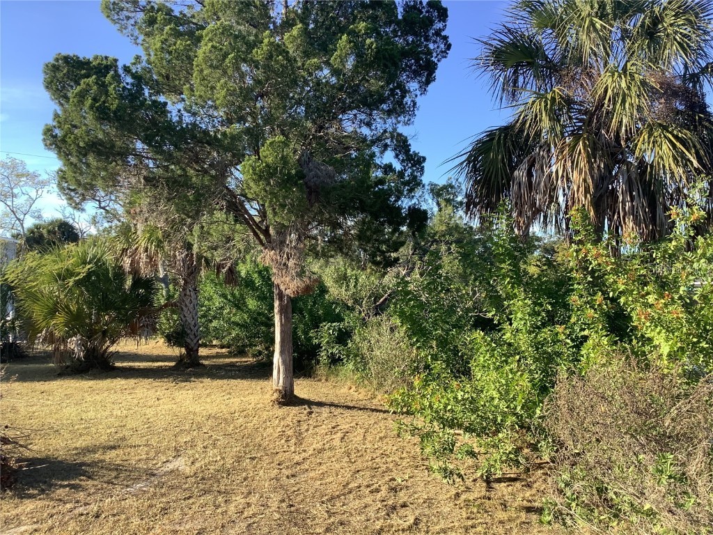 14144 Pine Street Hudson FL 34667 TB8455594 image12
