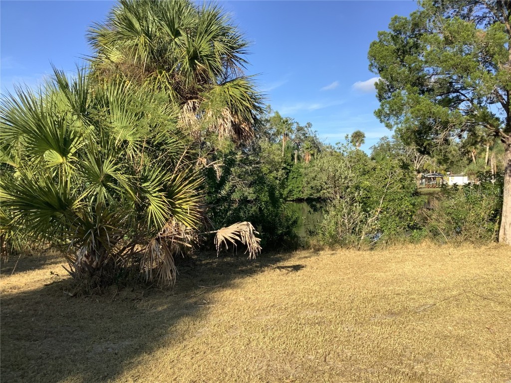 14144 Pine Street Hudson FL 34667 TB8455594 image5