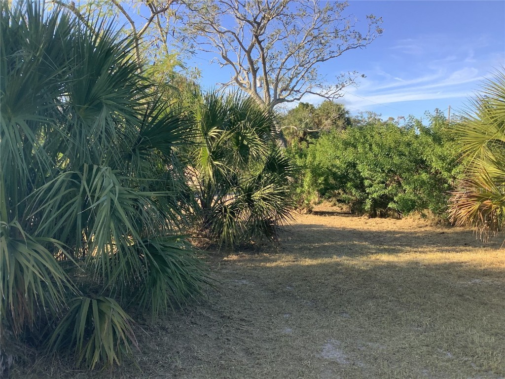 14144 Pine Street Hudson FL 34667 TB8455594 image6