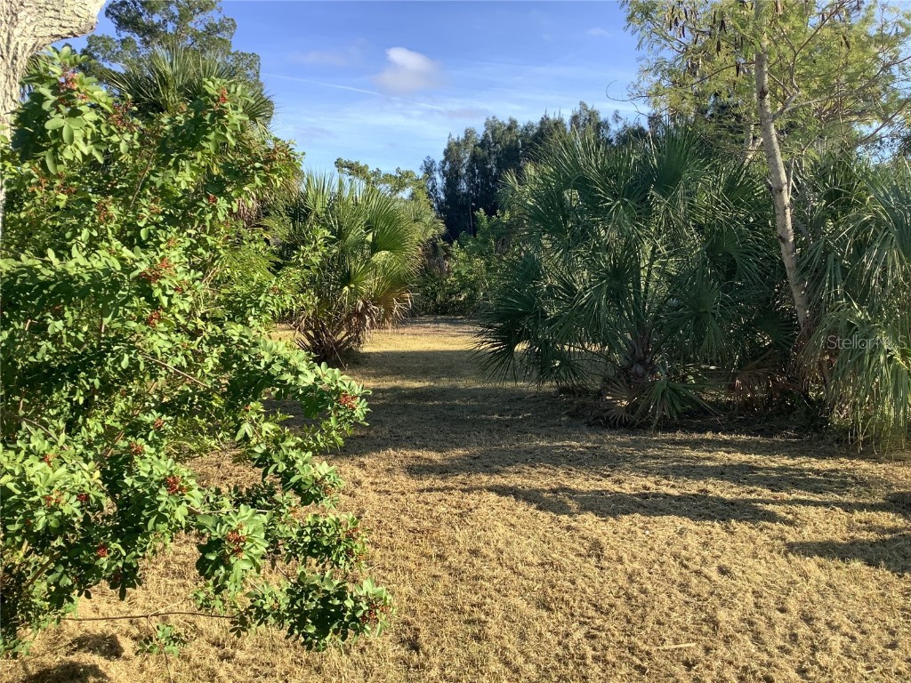 14144 Pine Street Hudson FL 34667 TB8455594 image7