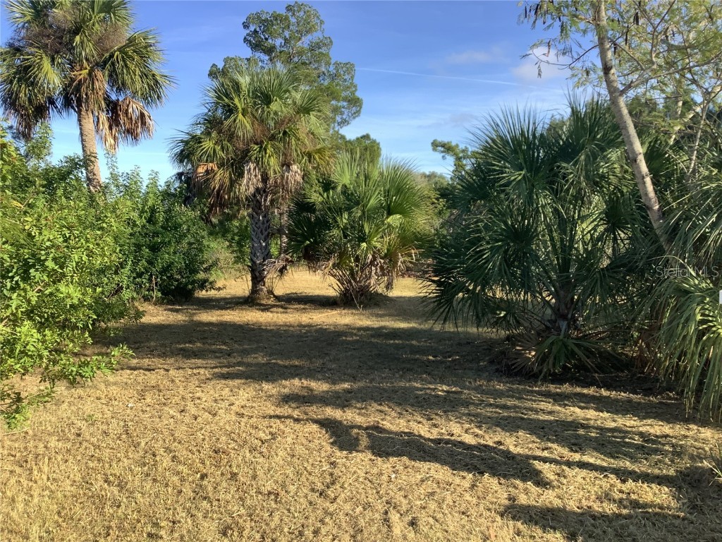 14144 Pine Street Hudson FL 34667 TB8455594 image8