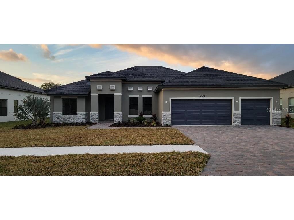 14145 Tomentosa Avenue Riverview FL 33569 T3308930 image1