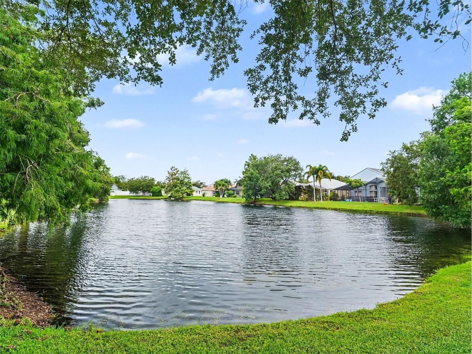 14146 Cattle Egret Pl Lakewood Ranch FL 34202 TB8531592 image28