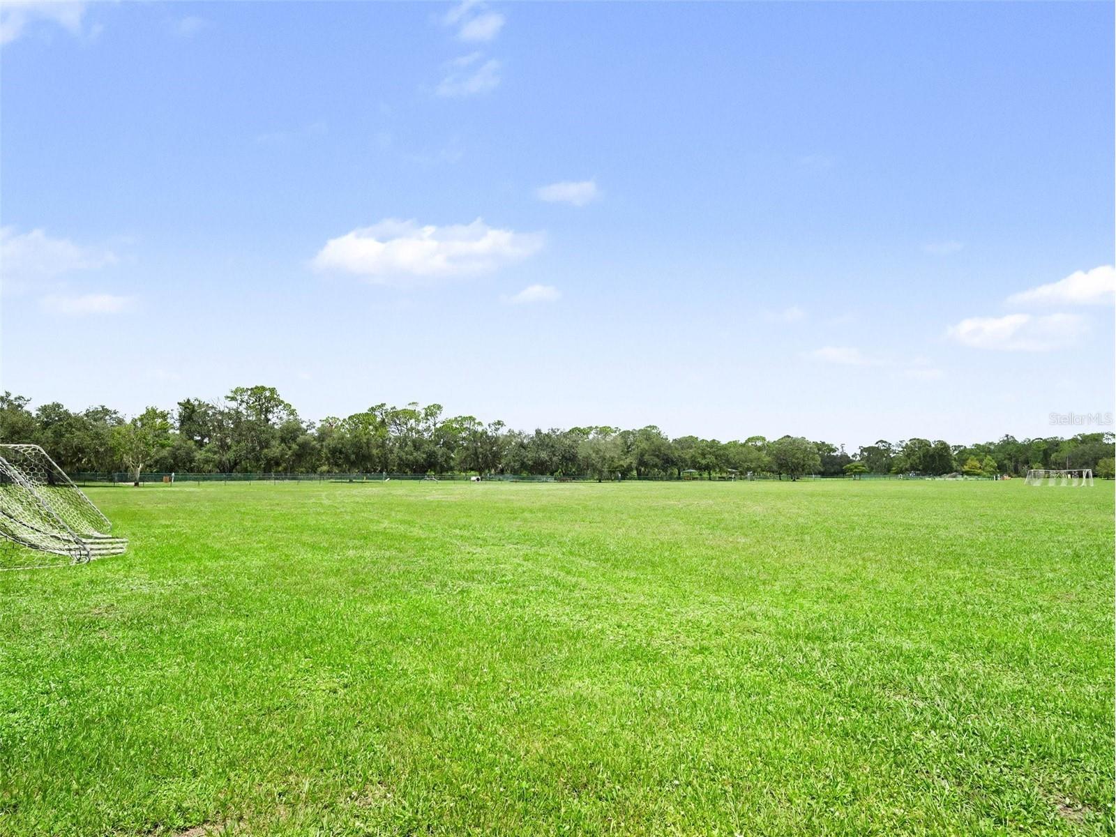 14146 Cattle Egret Pl Lakewood Ranch FL 34202 TB8531592 image41
