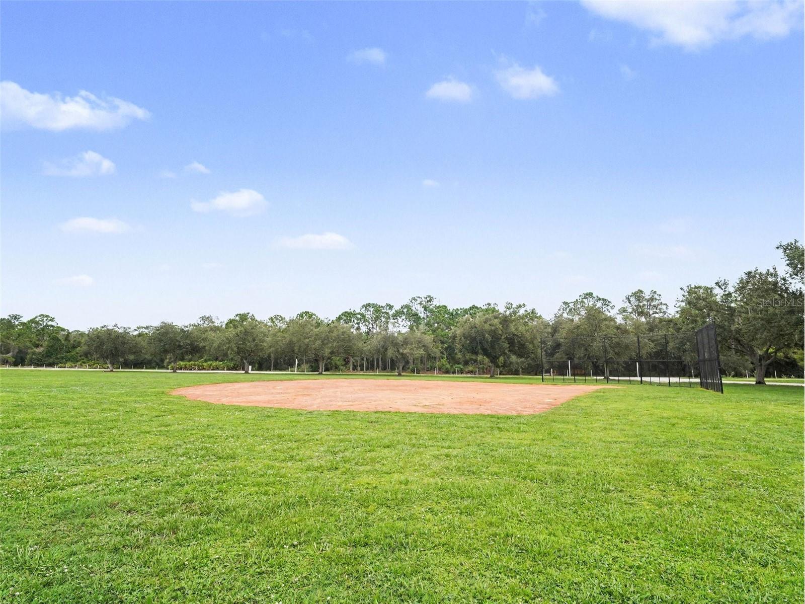 14146 Cattle Egret Pl Lakewood Ranch FL 34202 TB8531592 image42