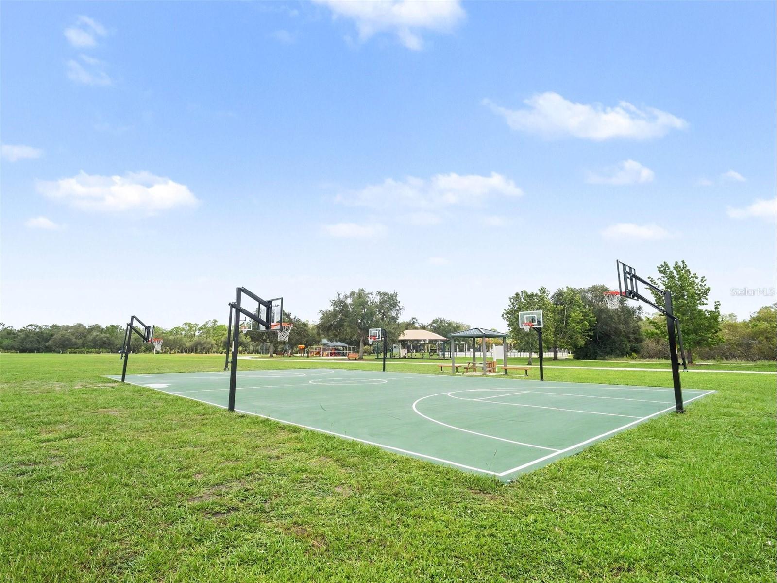 14146 Cattle Egret Pl Lakewood Ranch FL 34202 TB8531592 image44