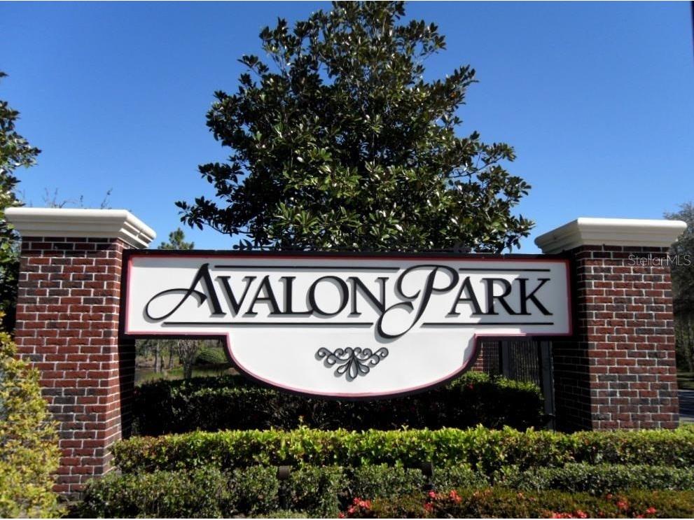 14149 Lake Live Oak Drive Orlando FL 32828 O6392657 image40
