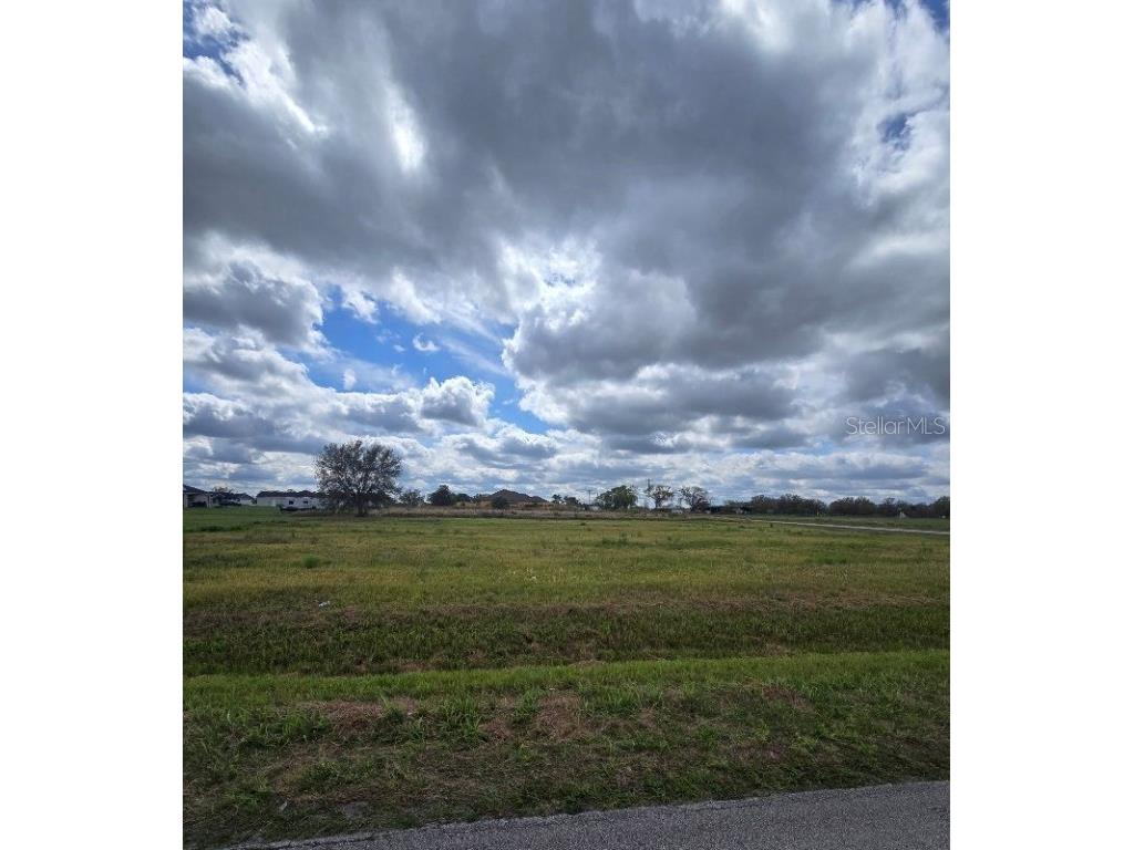 1415 Altman Road Wauchula FL 33873 P4933815 image1