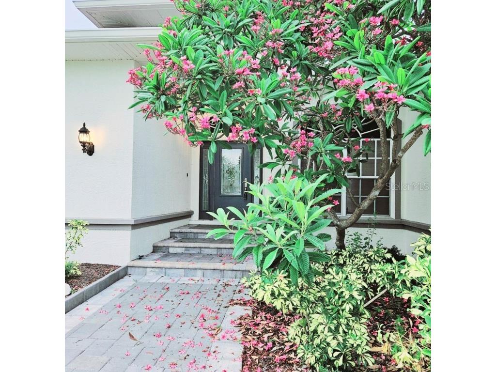 1415 Beach Club Apollo Beach FL 33572 TB8382493 image3