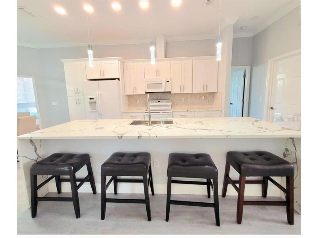 1415 Beach Club Apollo Beach FL 33572 TB8382493 image6