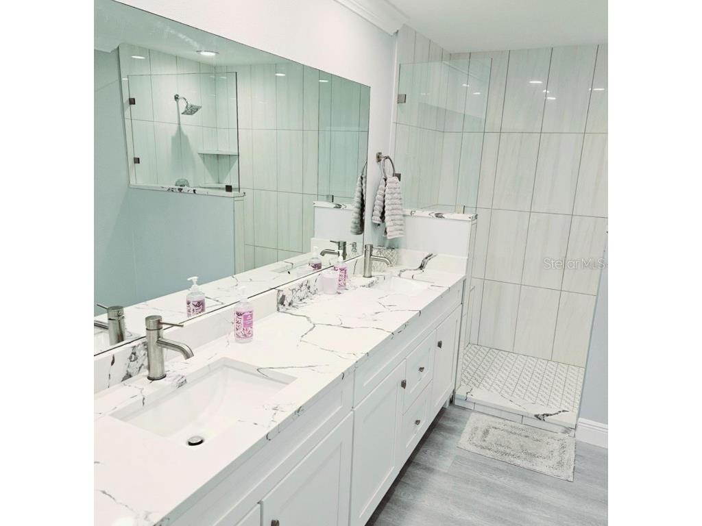 1415 Beach Club Apollo Beach FL 33572 TB8382493 image8