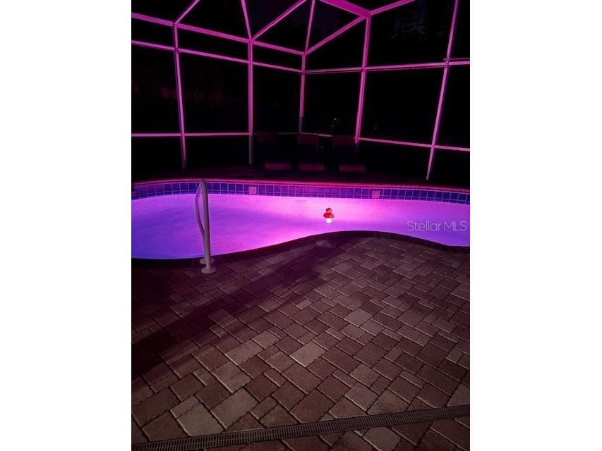 1415 Crocus Court Longwood FL 32750 O6386369 image37