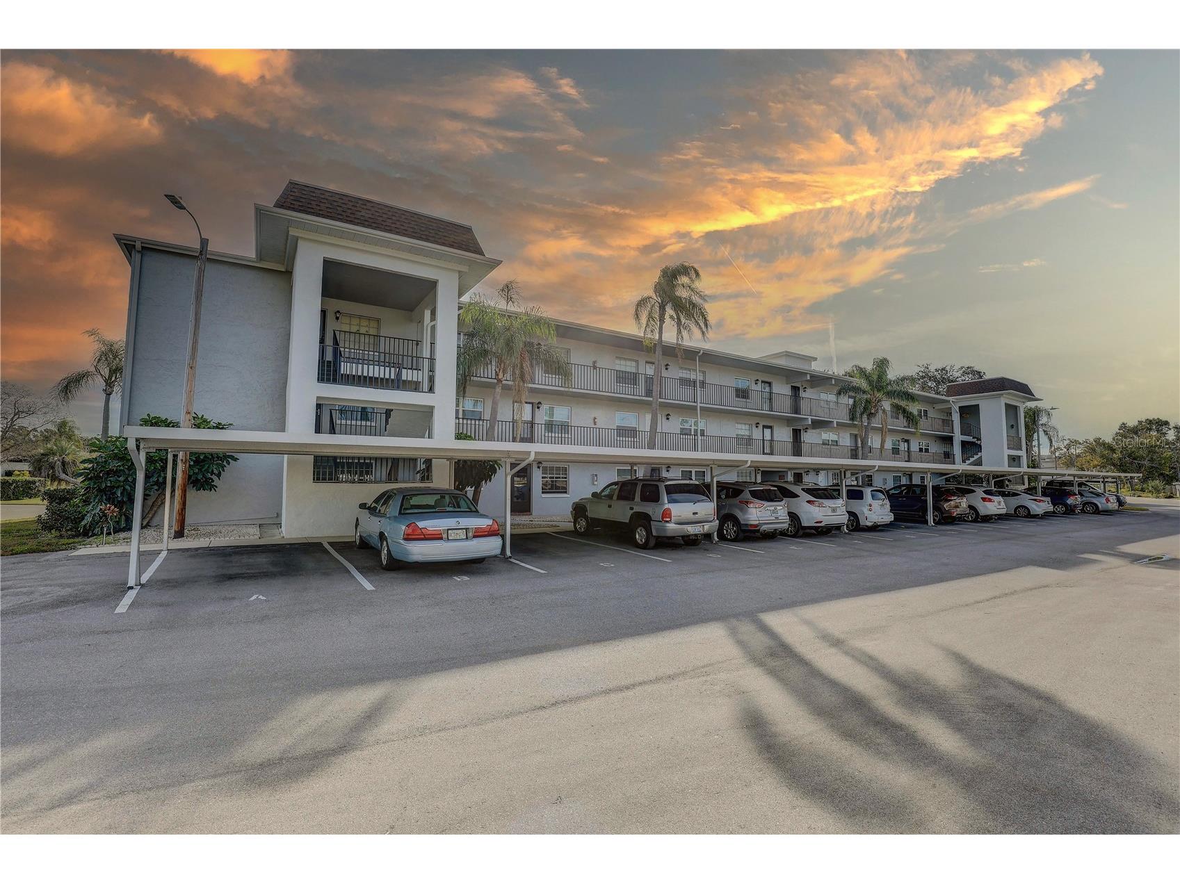 1415 Doolittle Lane #204 Dunedin FL 34698 TB8464695 image1