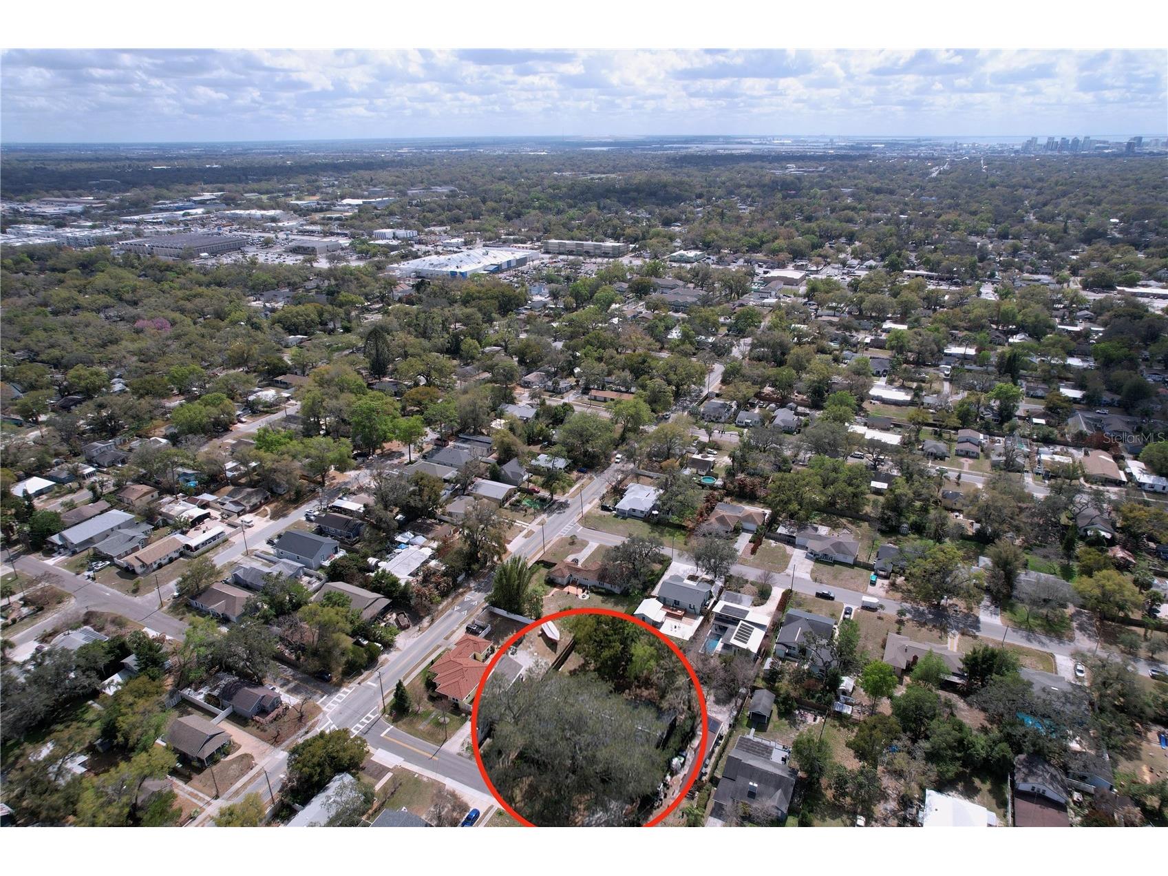 1415 E Idlewild Avenue Tampa FL 33604 TB8485290 image19