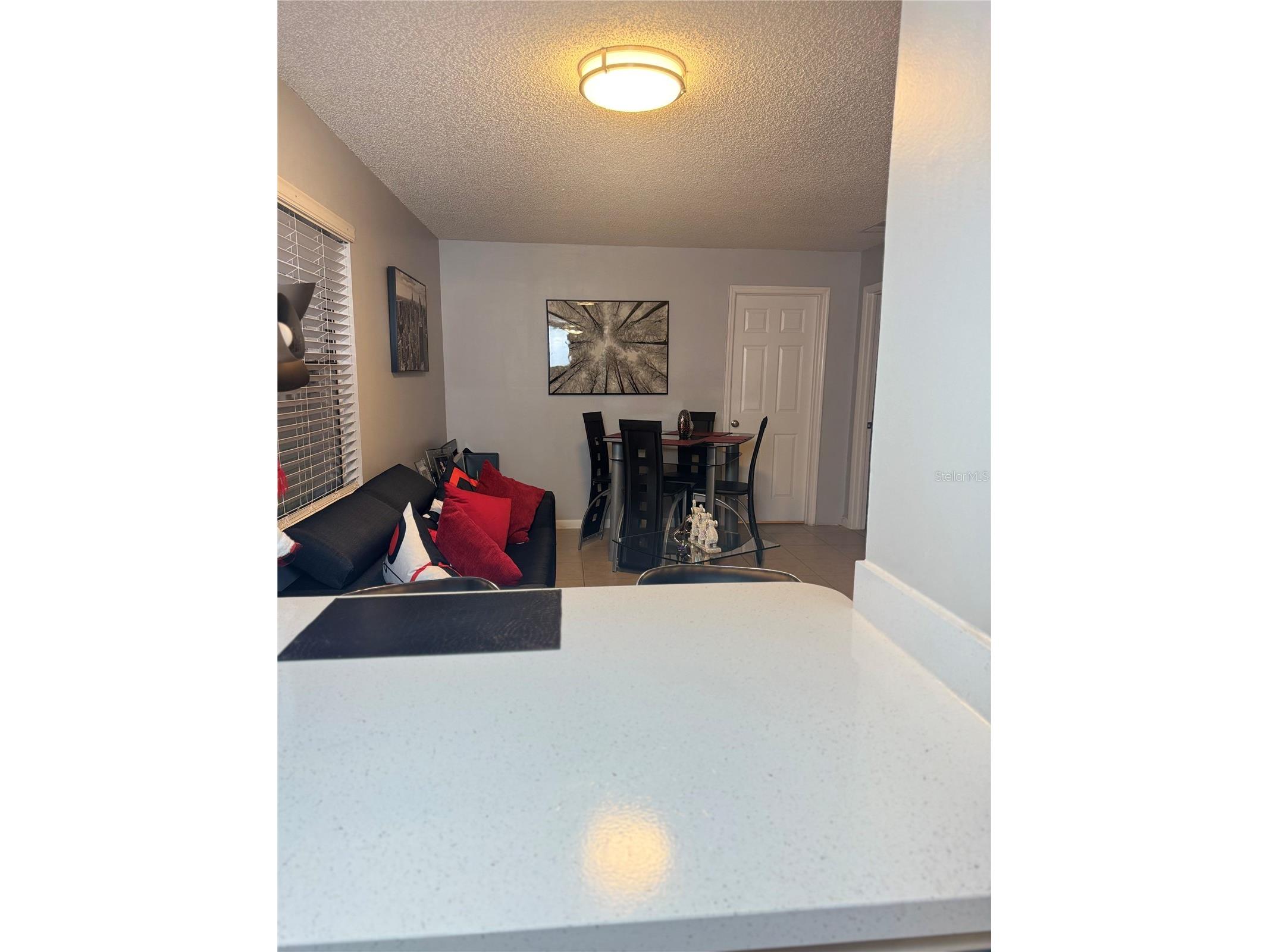 1415 Easton Street Orlando FL 32825 S5139285 image26