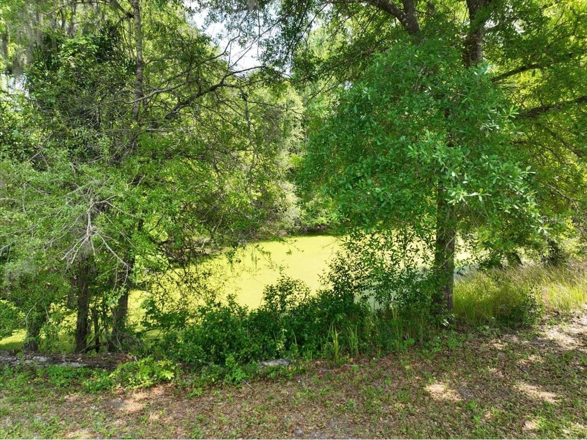 1415 N Wabash Avenue Lakeland FL 33805 L4960699 image7