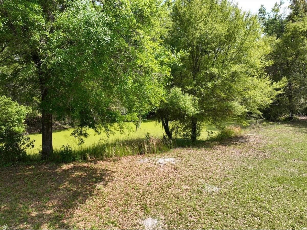 1415 N Wabash Avenue Lakeland FL 33805 L4960699 image8
