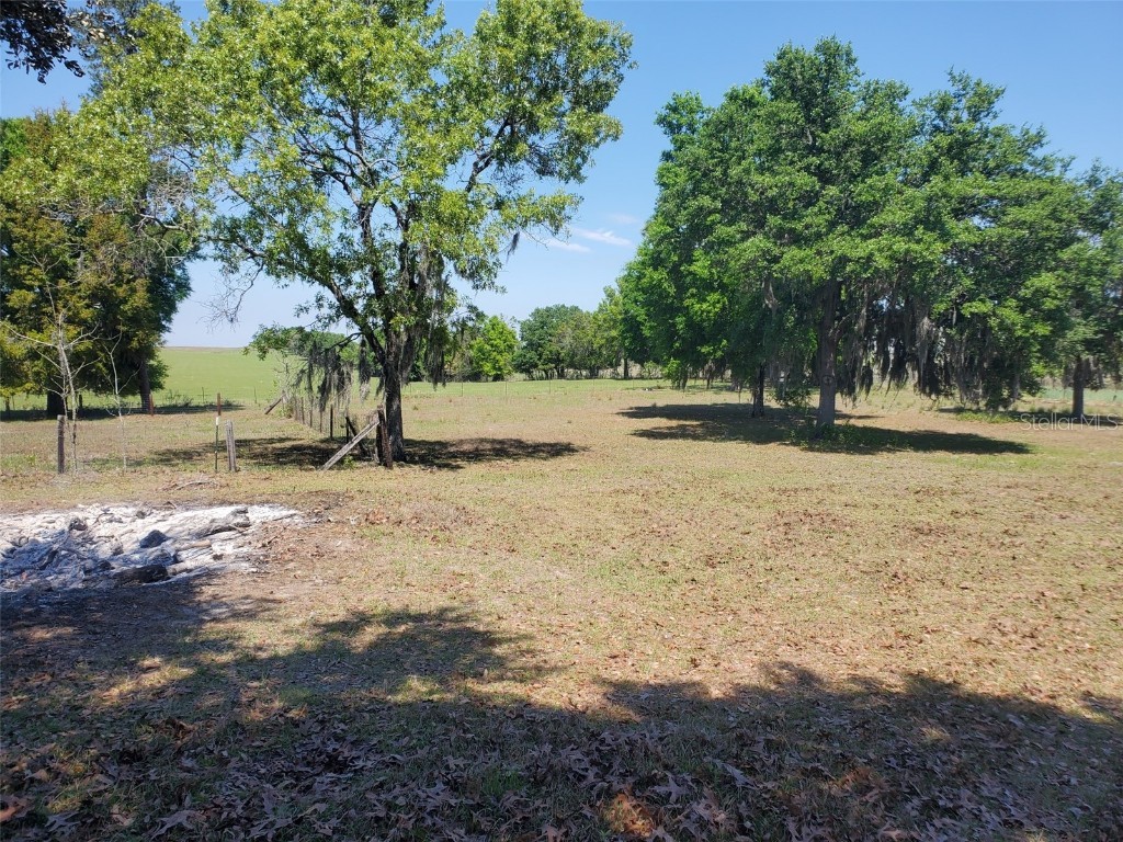 1415 NW Terrapin Drive Dunnellon FL 34431 OM709526 image2