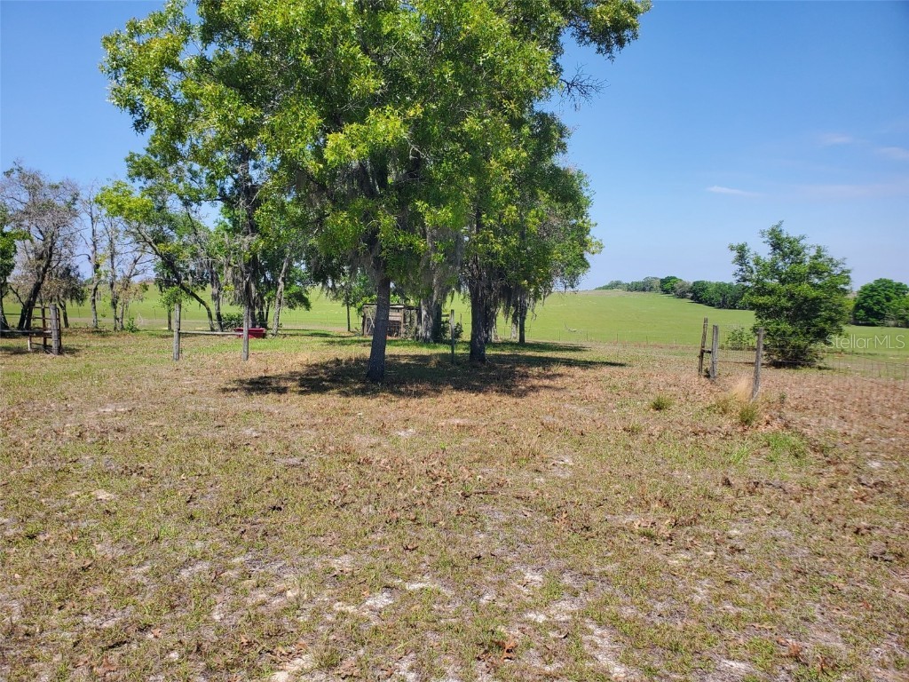 1415 NW Terrapin Drive Dunnellon FL 34431 OM709526 image29