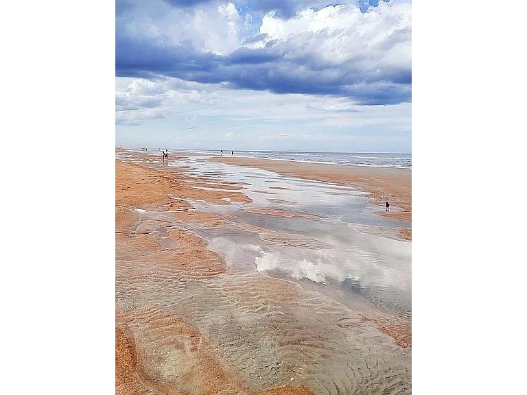 1415 Ocean Shore Boulevard #805 Ormond Beach FL 32176 - ATLANTIC OCEAN FC315991 image66