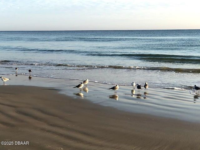 1415 Ocean Shore Boulevard #L1 Ormond Beach FL 32176 FC307421 image38