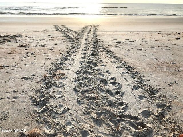 1415 Ocean Shore Boulevard #L1 Ormond Beach FL 32176 FC307421 image39