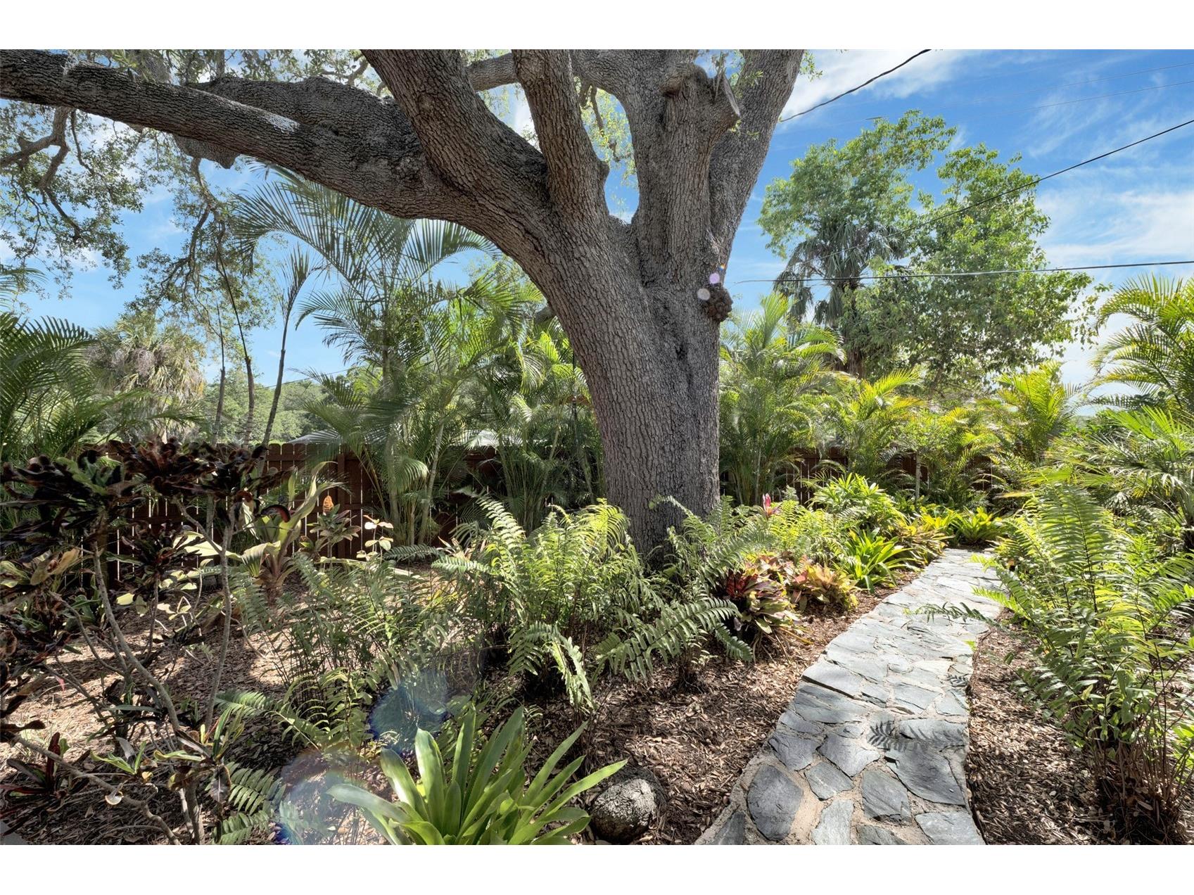 1415 S School Avenue Sarasota FL 34239 A4687920 image8