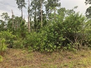 1415 Sebring Way Kissimmee FL 34759 S5125923 image2