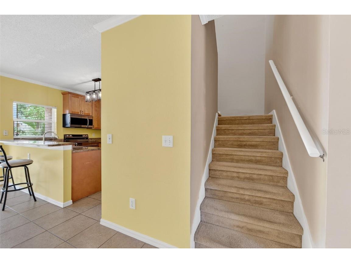 1415 Sedgwick Drive Wesley Chapel FL 33543 TB8396155 image9