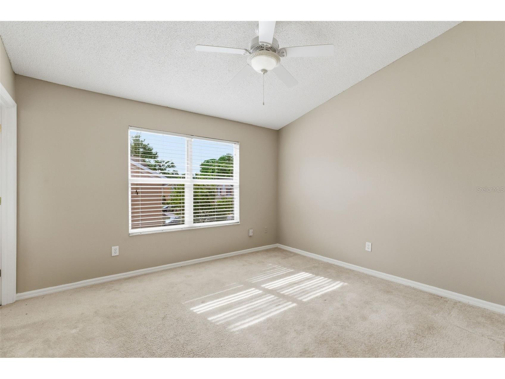 1415 Sedgwick Drive Wesley Chapel FL 33543 TB8506765 image28