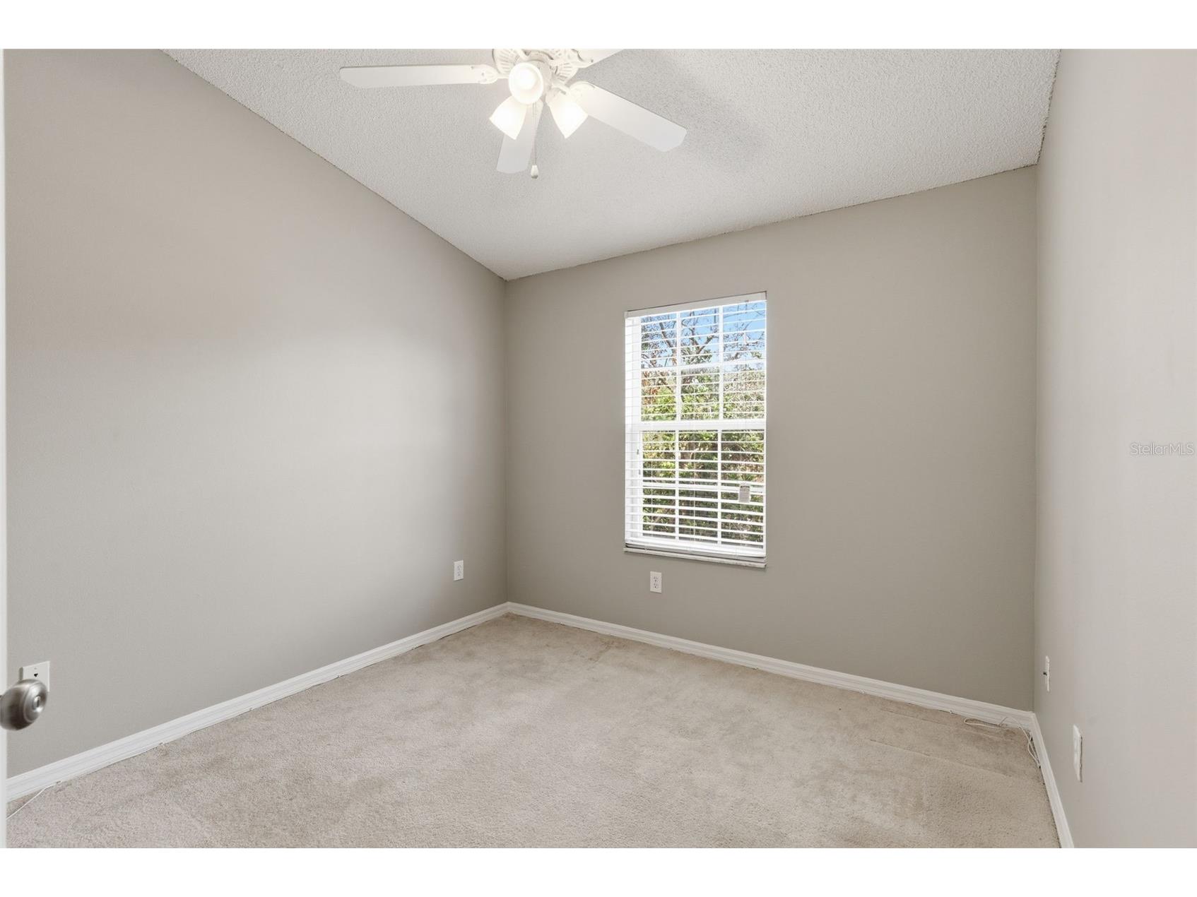 1415 Sedgwick Drive Wesley Chapel FL 33543 TB8506765 image33