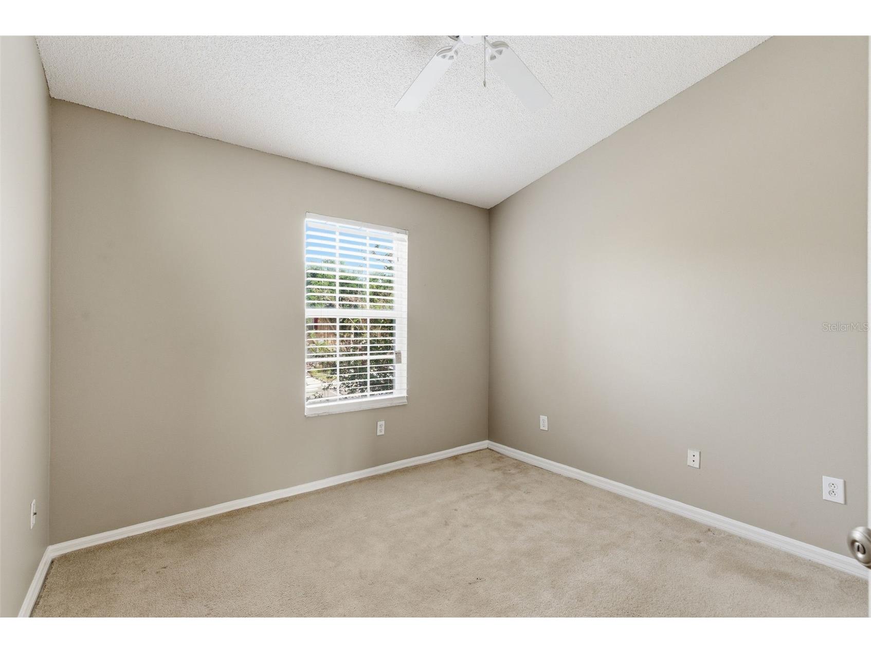 1415 Sedgwick Drive Wesley Chapel FL 33543 TB8506765 image34
