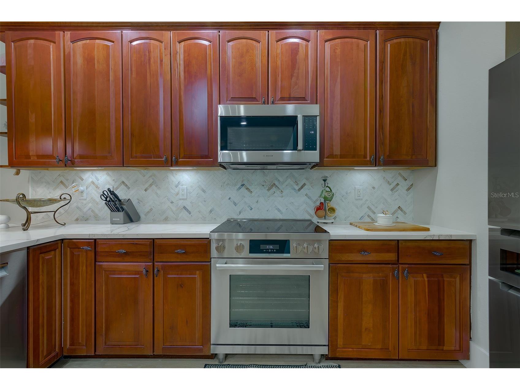 1415 Tessano Place Palm Harbor FL 34683 TB8516501 image13