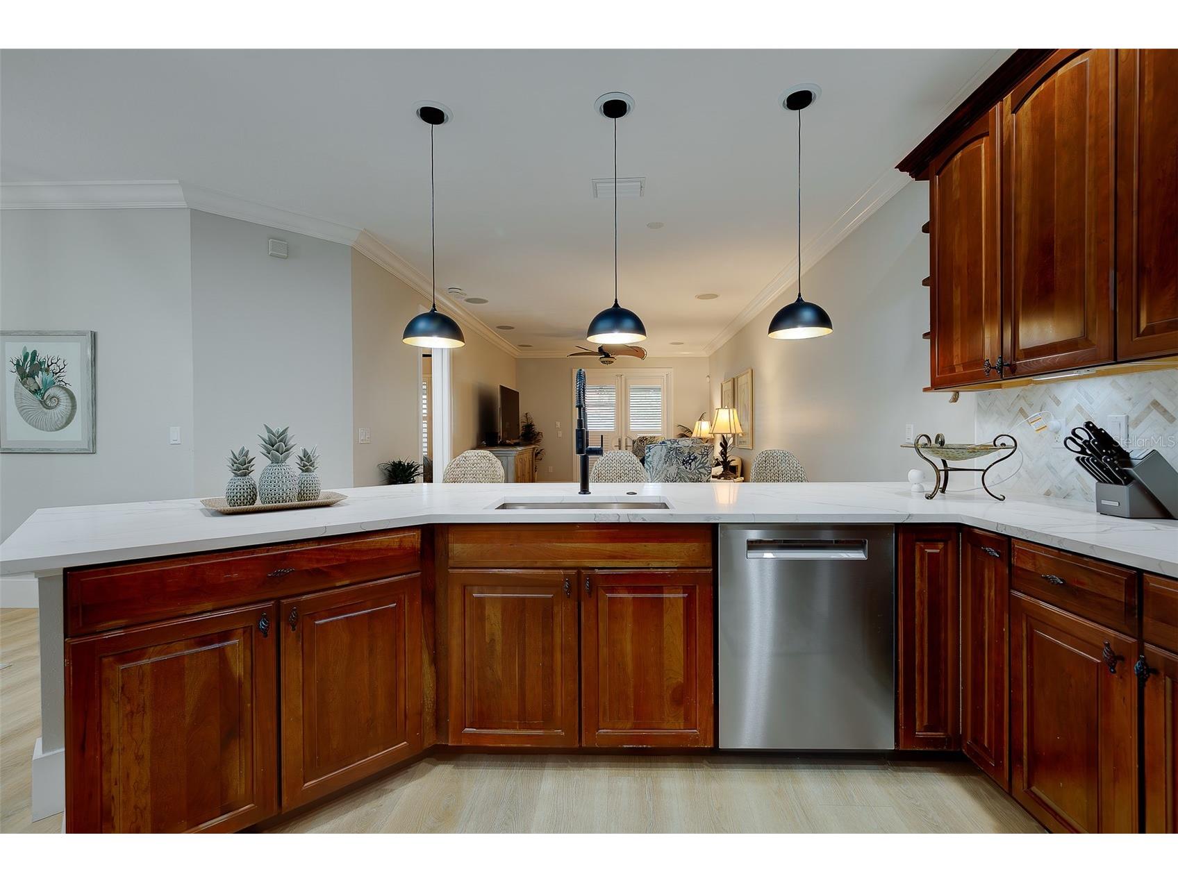 1415 Tessano Place Palm Harbor FL 34683 TB8516501 image14