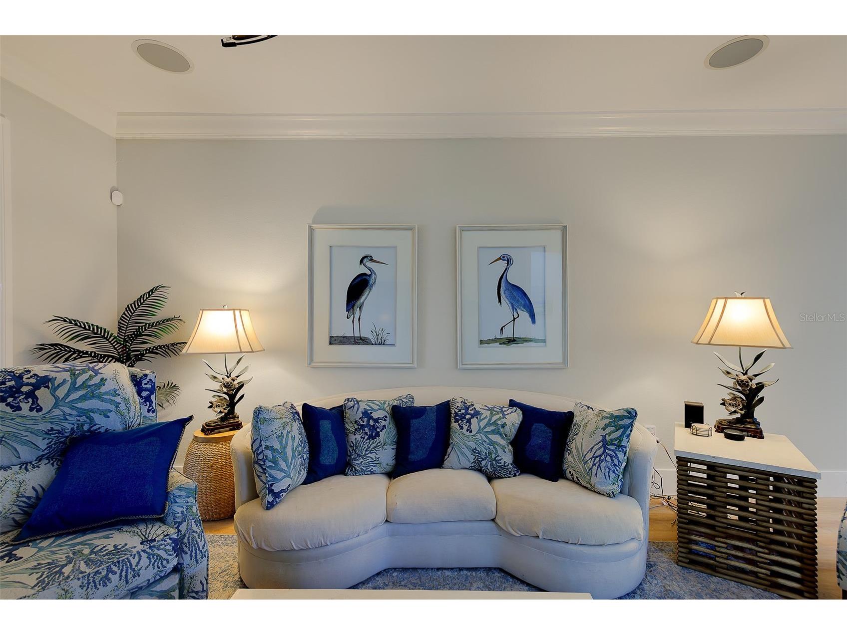 1415 Tessano Place Palm Harbor FL 34683 TB8516501 image18