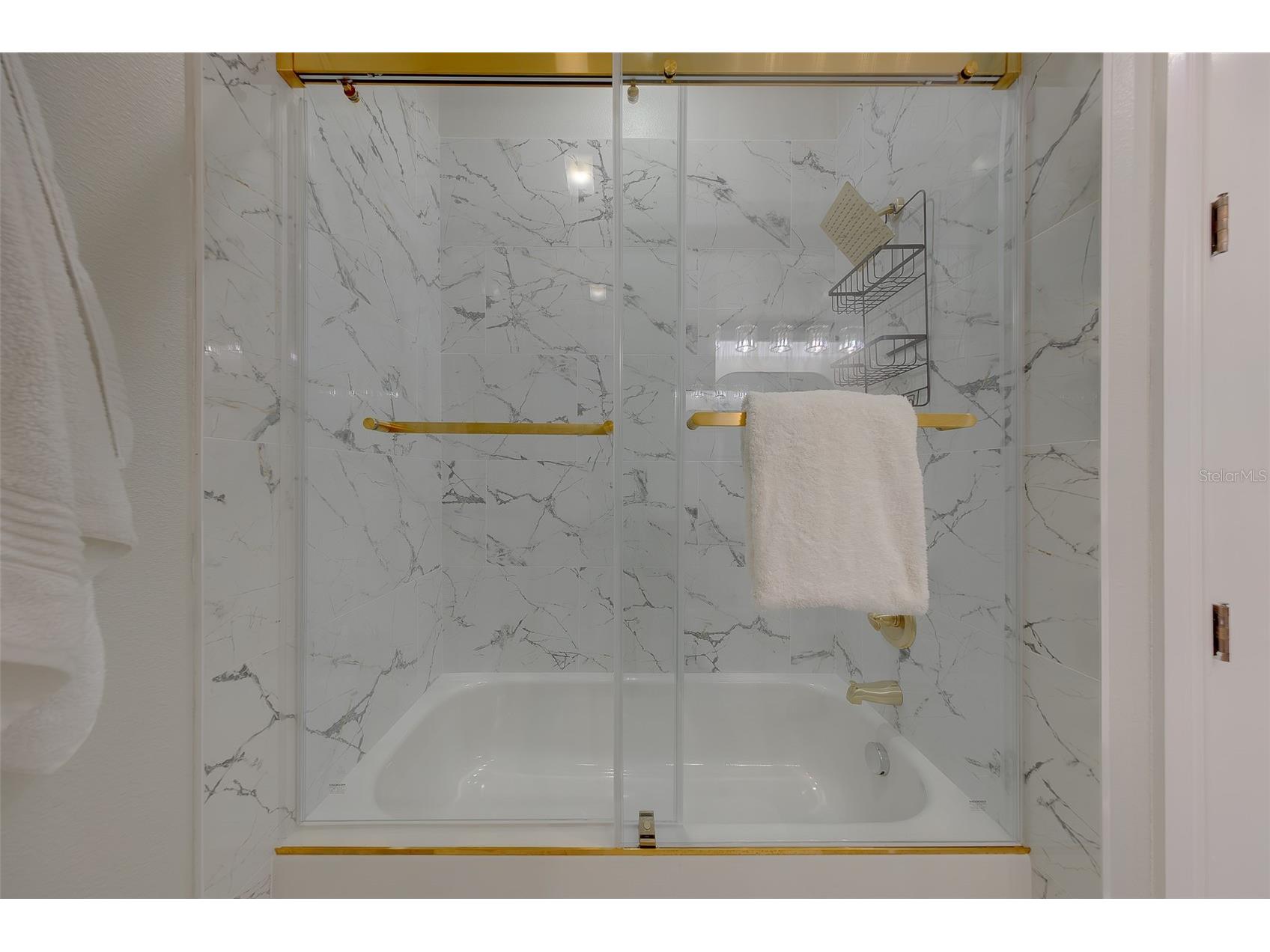 1415 Tessano Place Palm Harbor FL 34683 TB8516501 image28