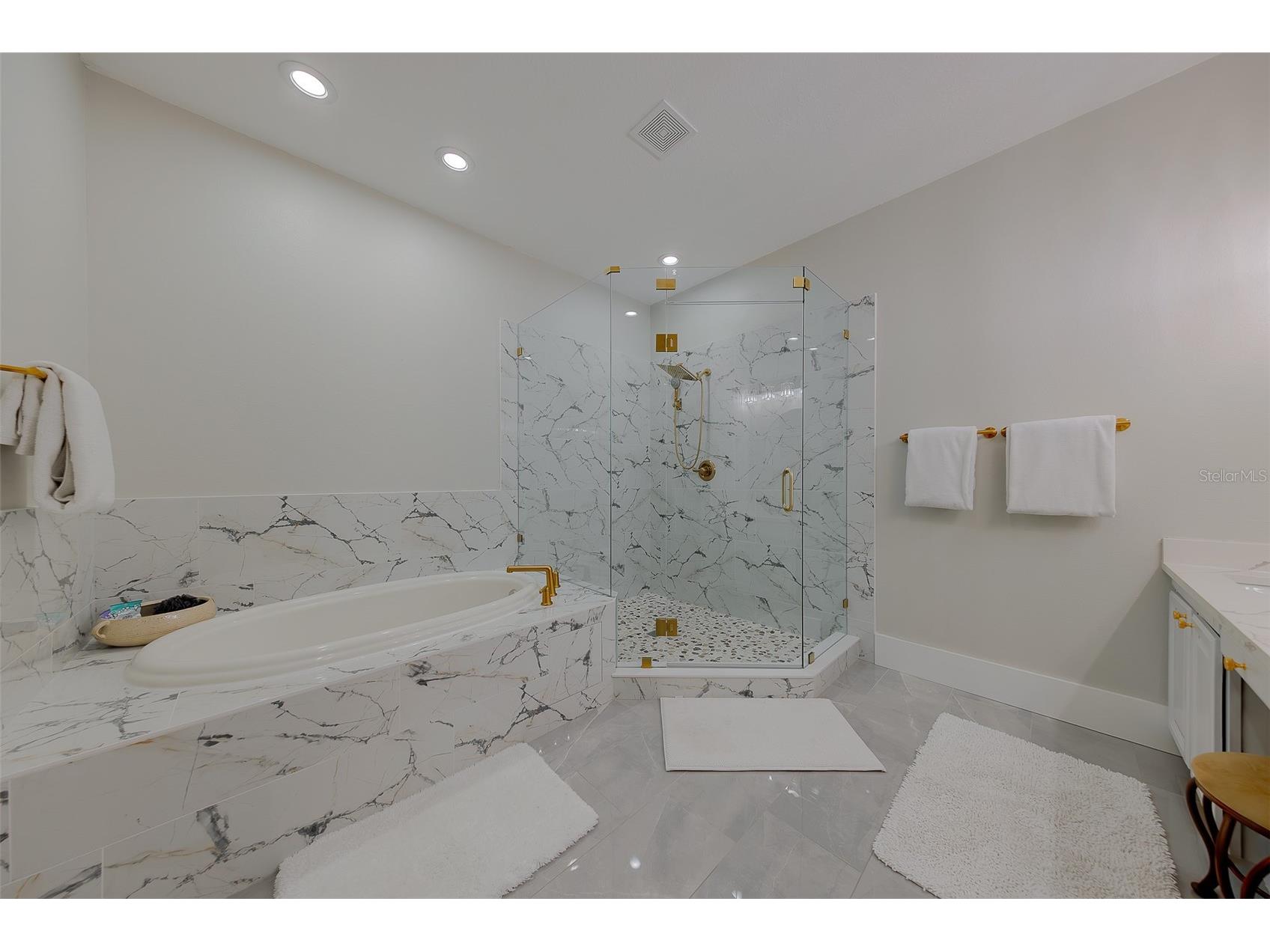 1415 Tessano Place Palm Harbor FL 34683 TB8516501 image37